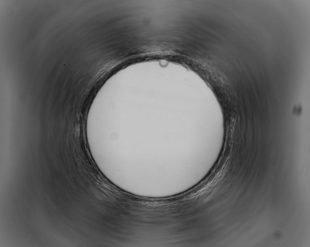 X0000099971257200806201353