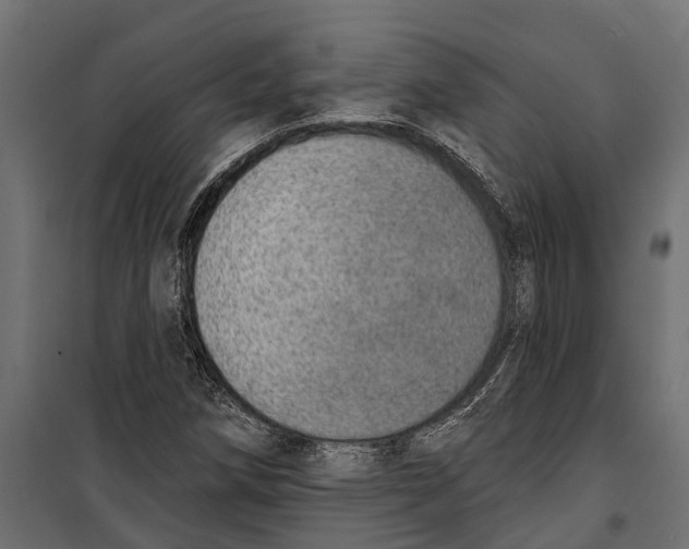 X0000099971258200806201353