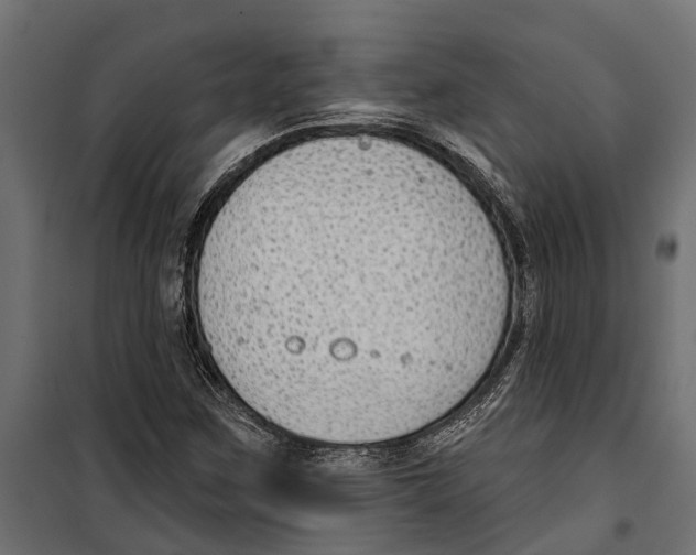 X0000099971259200806201353