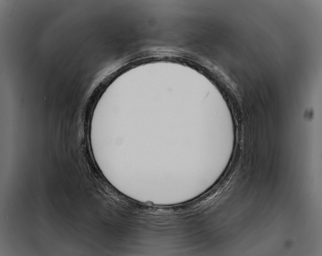 X0000099971261200806201353