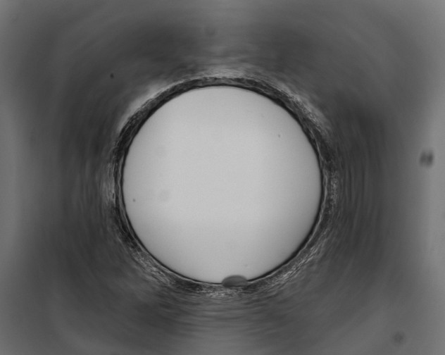 X0000099971262200806201353