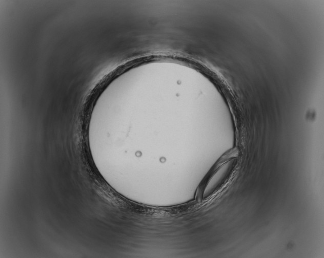 X0000099971263200806201353