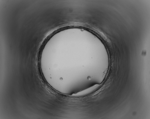 X0000099971264200806201353