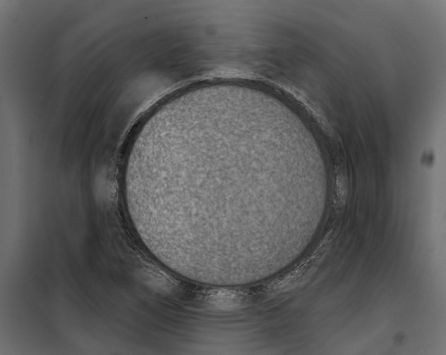 X0000099971266200806201353