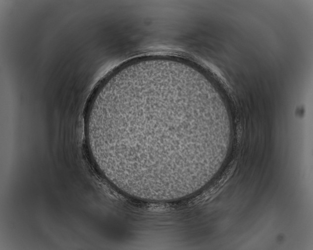 X0000099971267200806201353