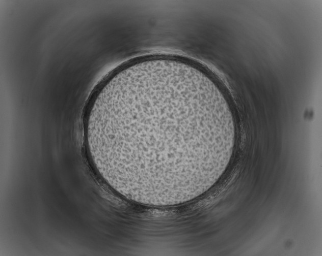 X0000099971271200806201353