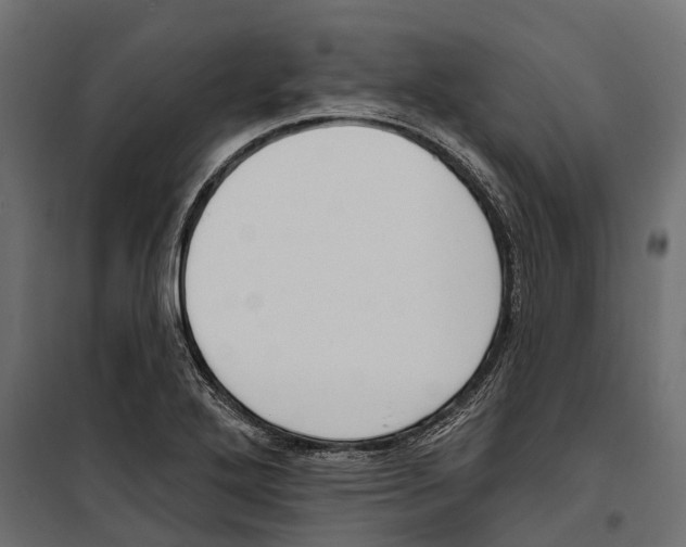 X0000099971272200806201353