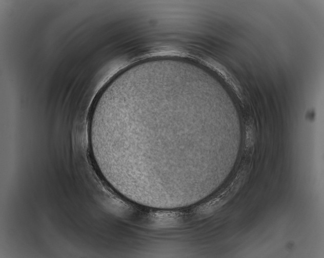 X0000099971274200806201352