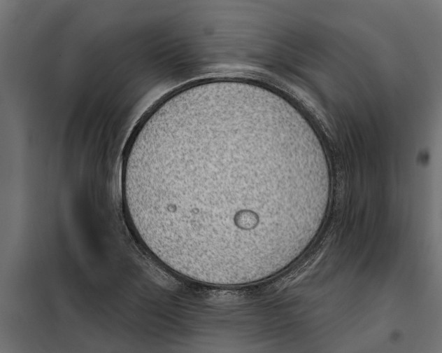 X0000099971275200806201352