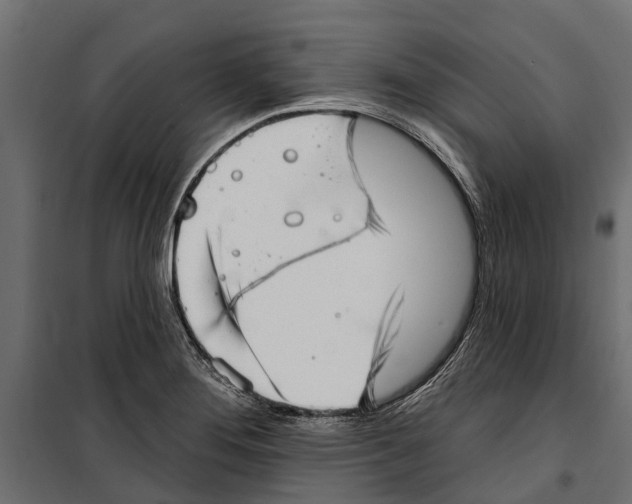 X0000099971276200806201352