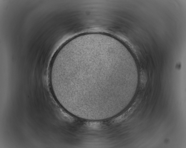 X0000099971278200806201352