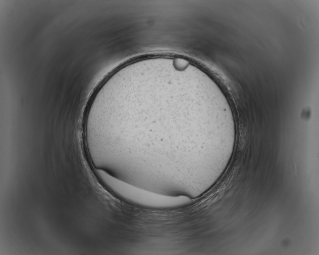 X0000099971279200806201352