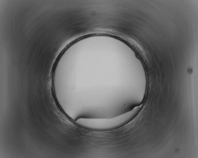 X0000099971280200806201352