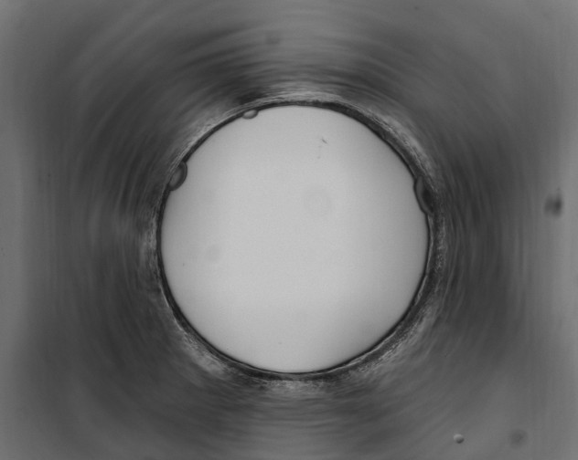 X0000099971281200806201352