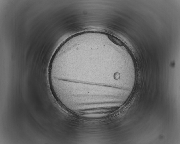 X0000099971283200806201352