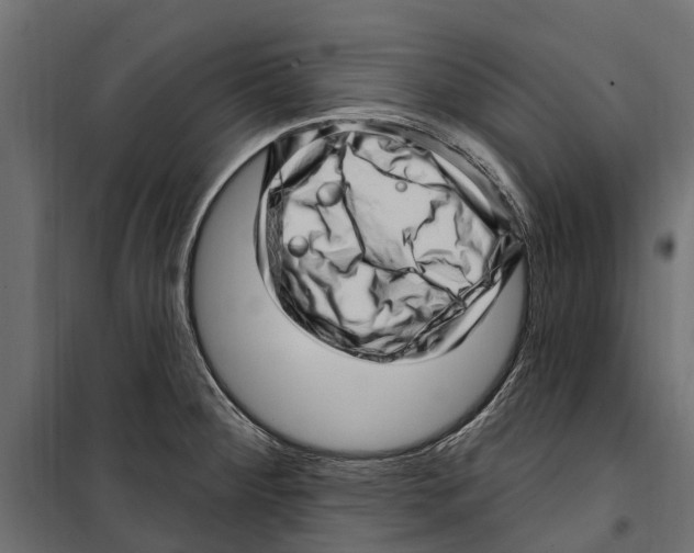 X0000099971284200806201352