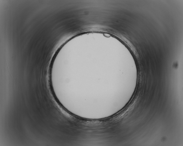 X0000099971285200806201352