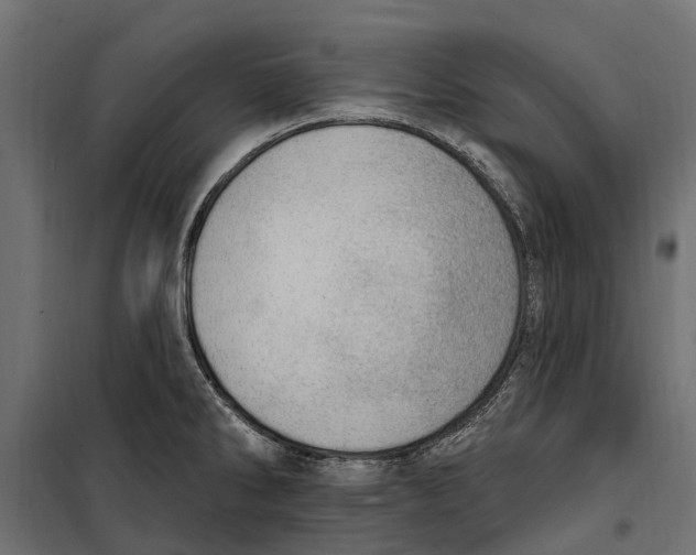 X0000099971286200806201352