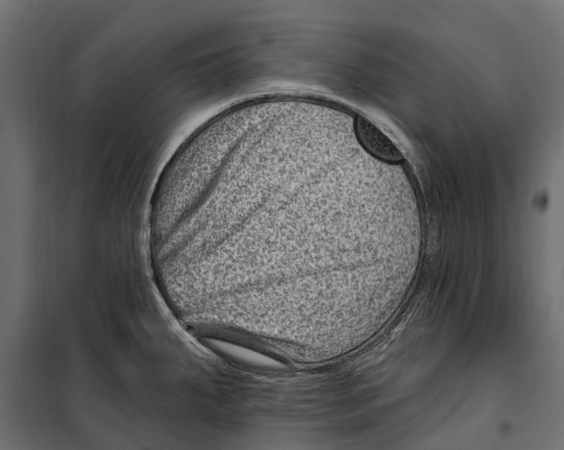 X0000099971287200806201352