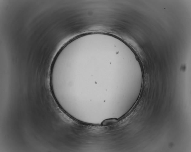 X0000099971288200806201352