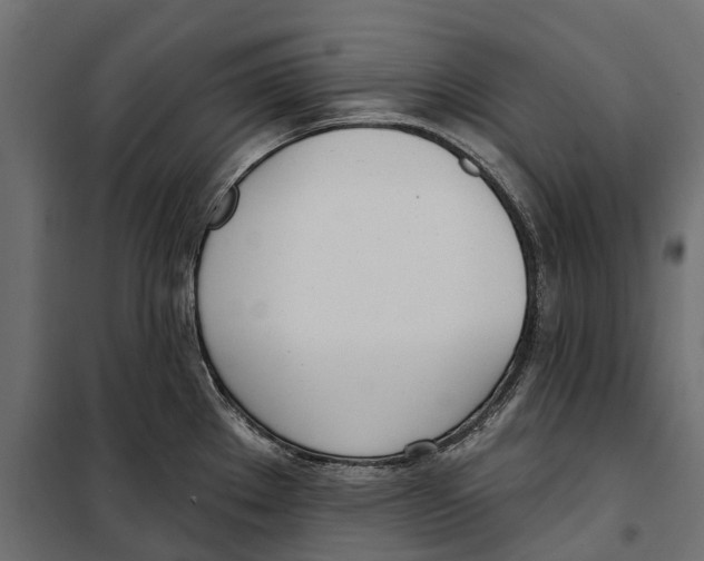 X0000099971289200806201352