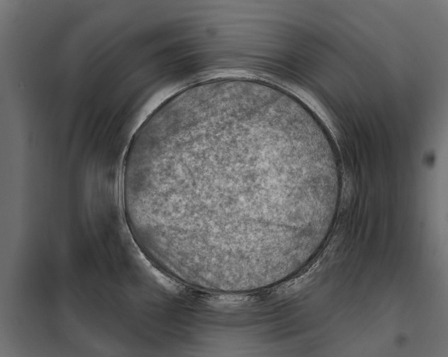 X0000099971290200806201352