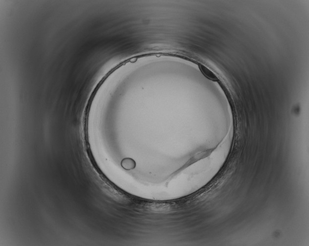 X0000099971291200806201352