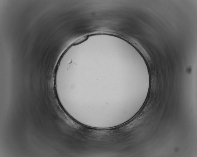 X0000099971292200806201352