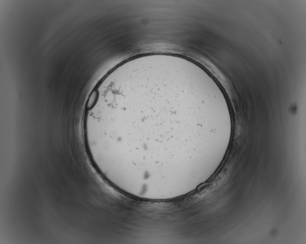 X0000099971293200806201352