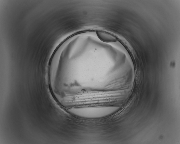 X0000099971295200806201352