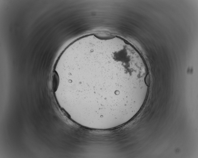 X0000099971296200806201352