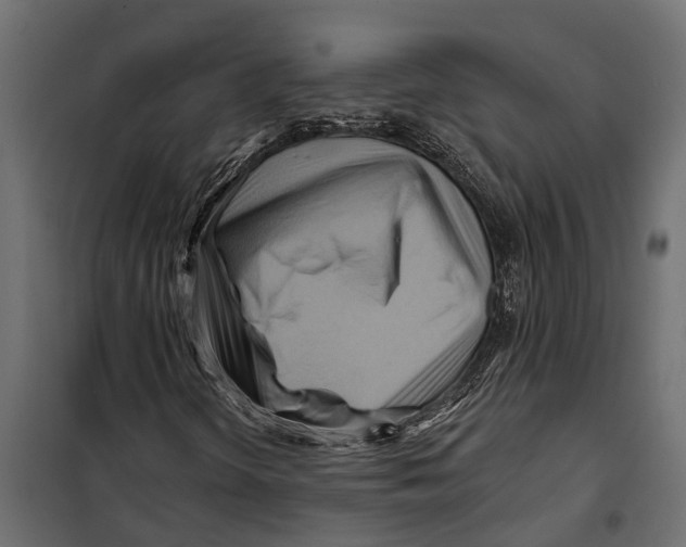 X0000099971298200806201351