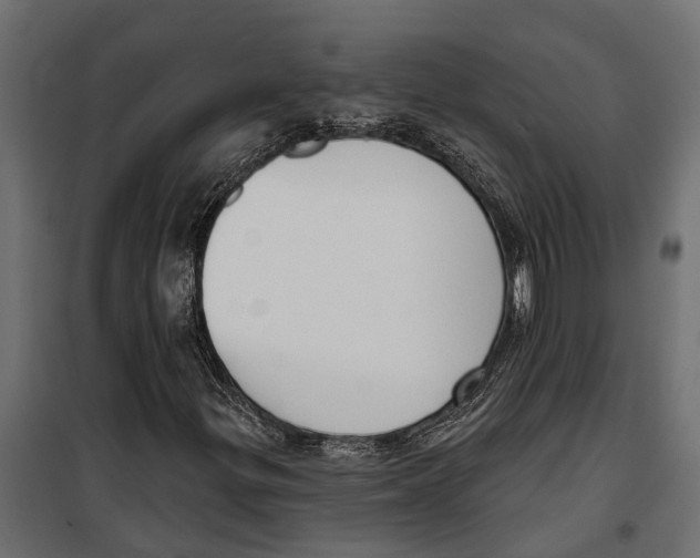 X0000099971299200806201351