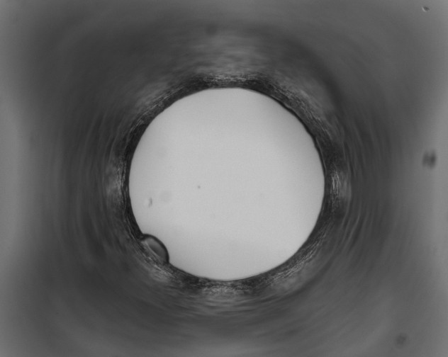 X0000099971300200806201351