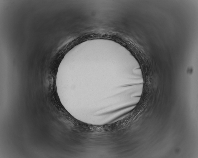 X0000099971302200806201351