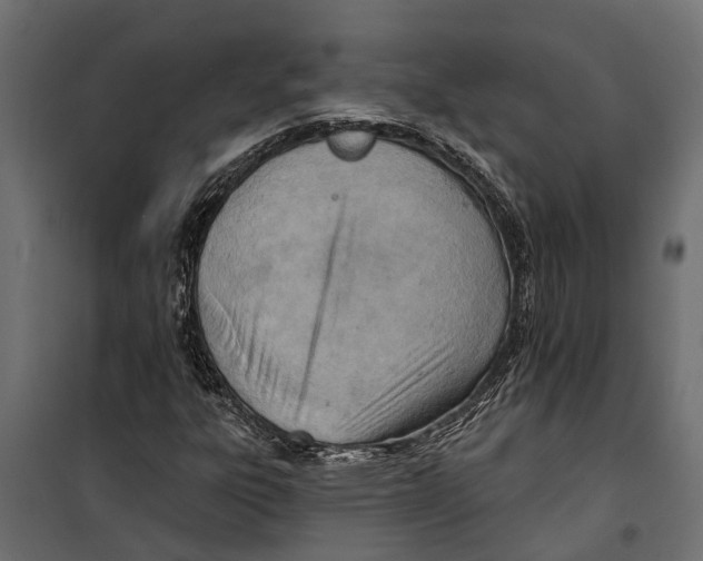 X0000099971303200806201351