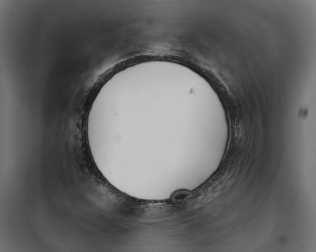 X0000099971304200806201351