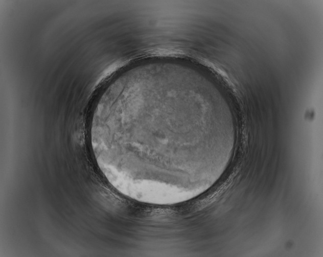 X0000099971306200806201351