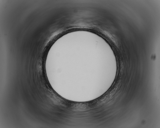 X0000099971307200806201351