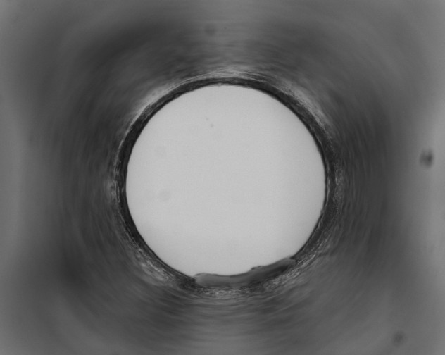 X0000099971308200806201351