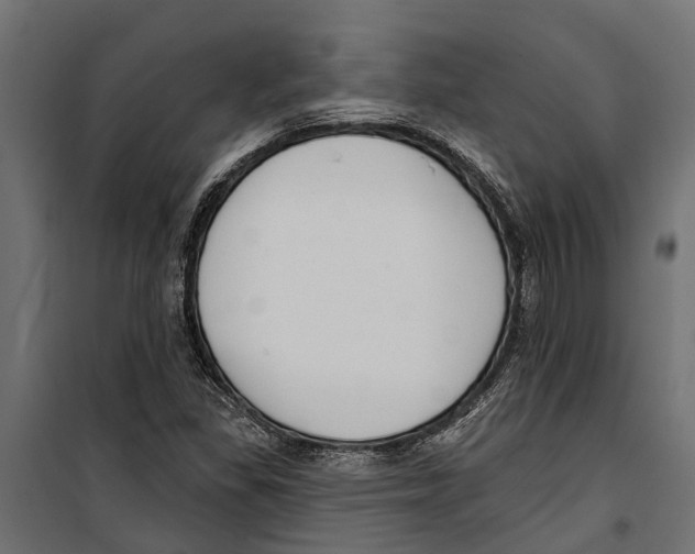 X0000099971309200806201351