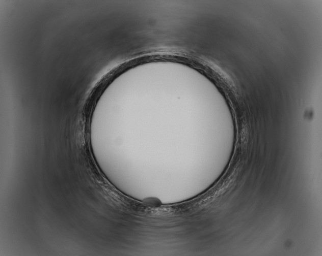 X0000099971310200806201352