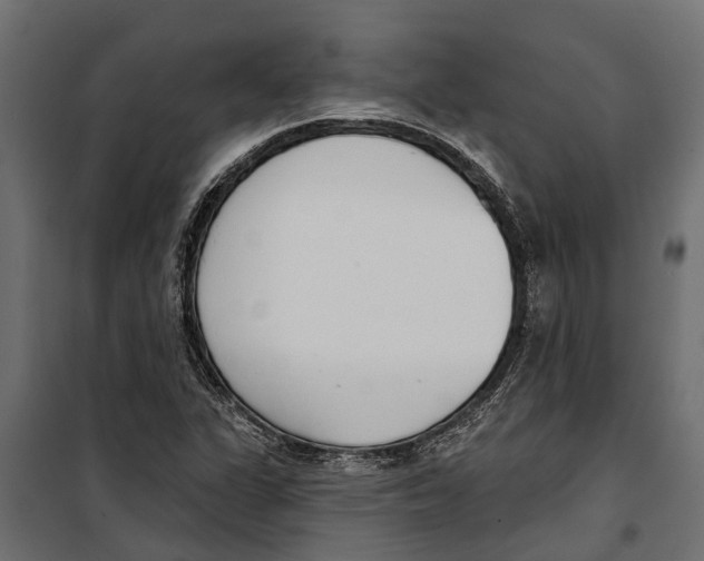 X0000099971311200806201352