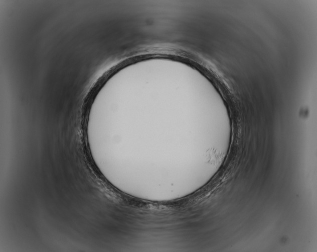 X0000099971312200806201352