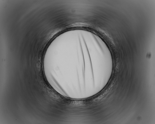 X0000099971313200806201352