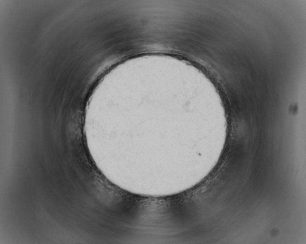 X0000099971314200806201352