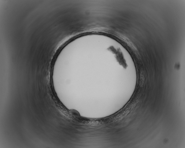 X0000099971316200806201352