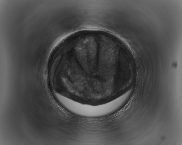 X0000099971319200806201352