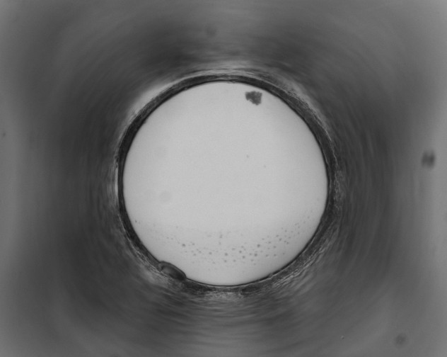 X0000099971320200806201352