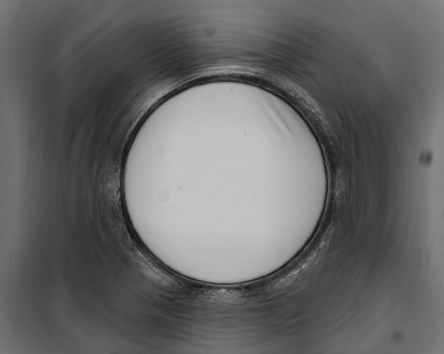 X0000099971321200806201352